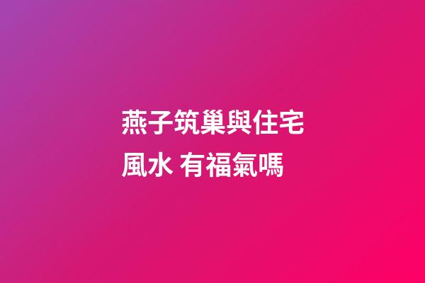 燕子筑巢與住宅風水 有福氣嗎